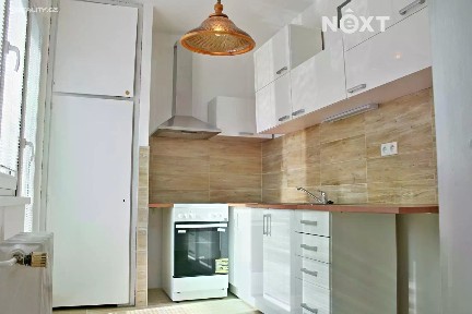Pronájem bytu 1+1 36 m²