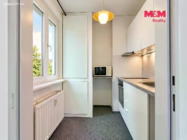 Pronájem bytu 1+1 42 m²