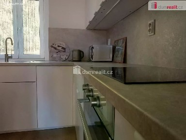 Pronájem bytu 1+1 39 m²