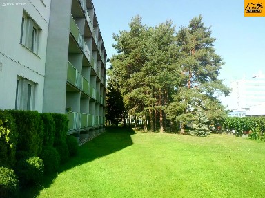 Pronájem kanceláře 20 m²