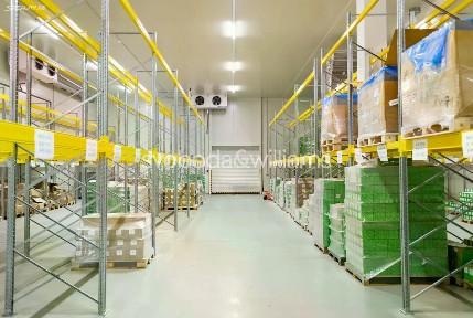Pronájem výrobní haly, prostoru 8791 m²