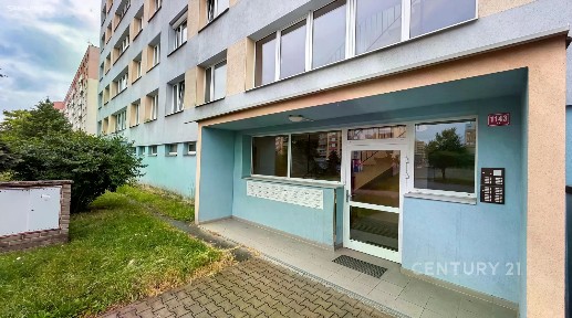 Prodej bytu 1+1 40 m²