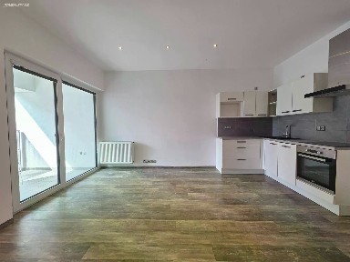 Pronájem bytu 1+kk 43 m²