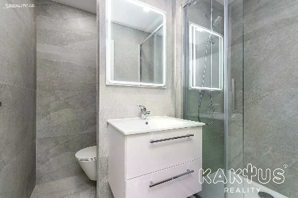 Pronájem bytu 1+1 39 m²
