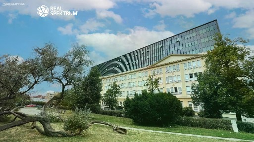 Pronájem kanceláře 535 m²