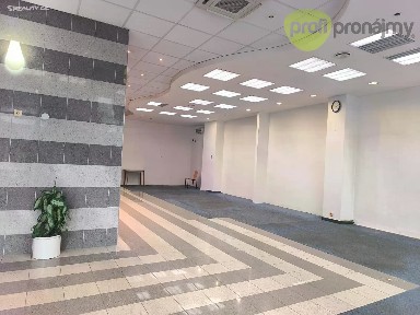 Pronájem obchodního prostoru 170 m²