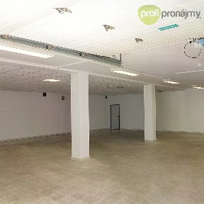Pronájem skladového prostoru 460 m²