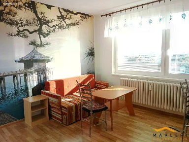 Pronájem bytu 1+1 30 m²