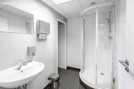 Pronájem obchodního prostoru 290 m²