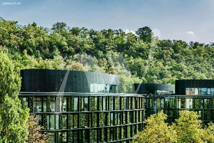 Pronájem kanceláře 374 m²