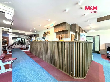 Prodej obchodního prostoru 276 m²