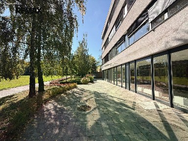 Pronájem obchodního prostoru 469 m²
