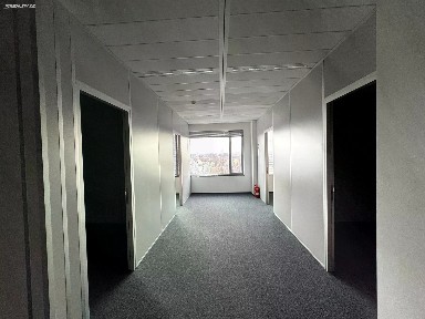 Pronájem kanceláře 209 m²