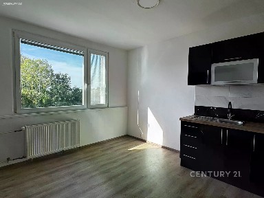 Prodej bytu 1+1 39 m²