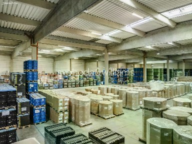 Pronájem skladového prostoru 1679 m²