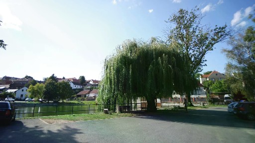 V Uličce, Holubice