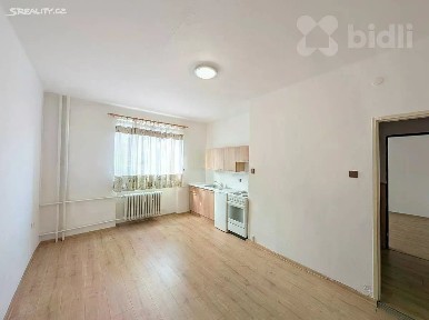 Pronájem bytu 1+kk 23 m²
