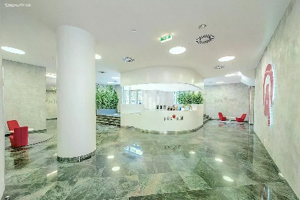 Pronájem kanceláře 379 m²