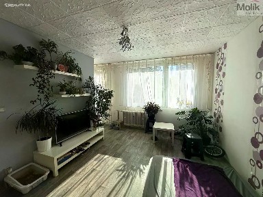 Pronájem bytu 1+1 26 m²