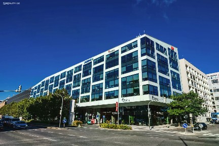 Pronájem kanceláře 184 m²