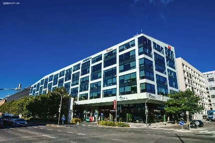 Pronájem kanceláře 184 m²