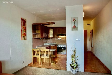 Pronájem bytu 1+kk 30 m²