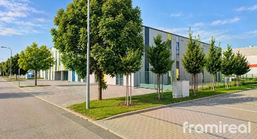 Pronájem kanceláře 600 m²