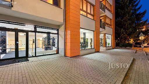 Prodej obchodního prostoru 229 m²