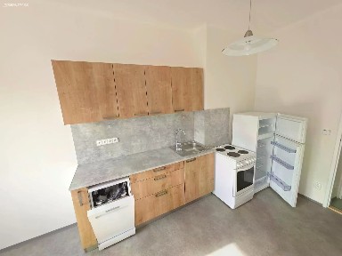 Pronájem bytu 1+1 45 m²