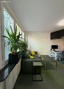 Pronájem bytu 1+kk 29 m²