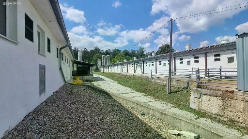 Velký Borek