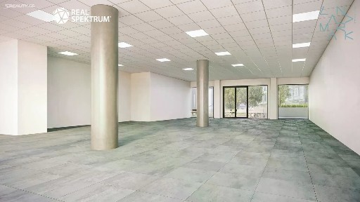 Pronájem obchodního prostoru 234 m²