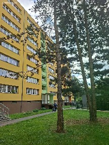 Pronájem bytu 1+1 35 m²