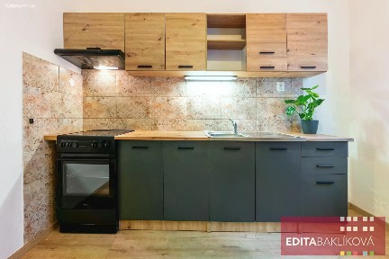 Pronájem bytu 1+1 36 m²