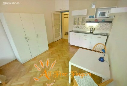 Pronájem bytu 1+kk 30 m²