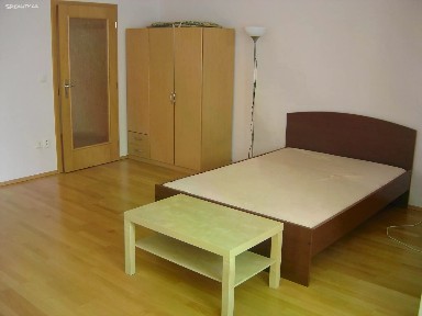 Pronájem bytu 1+kk 45 m²