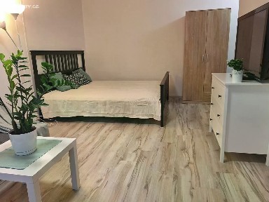 Pronájem bytu 1+kk 34 m²