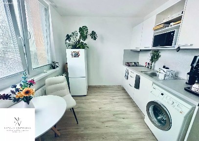 Pronájem bytu 1+1 35 m²