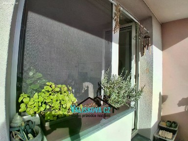 Prodej bytu 1+1 39 m²