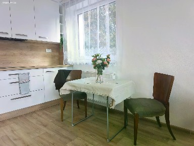 Pronájem rodinného domu 200 m², pozemek 1723 m²
