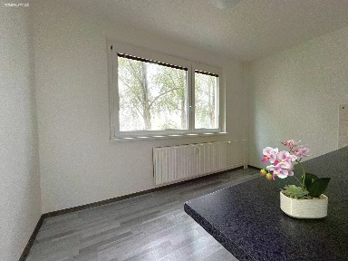 Pronájem bytu 3+1 65 m²