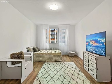 Prodej bytu 1+1 42 m²