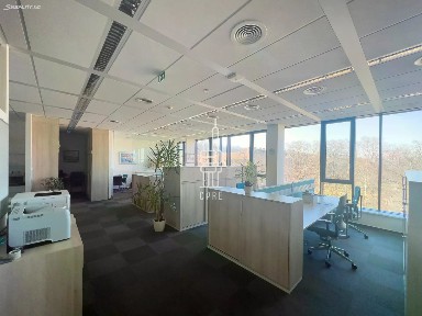 Pronájem kanceláře 241 m²
