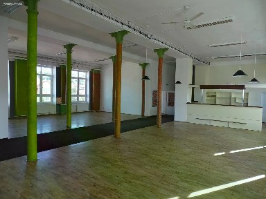 Pronájem obchodního prostoru 334 m²