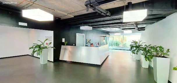 Pronájem kanceláře 193 m²