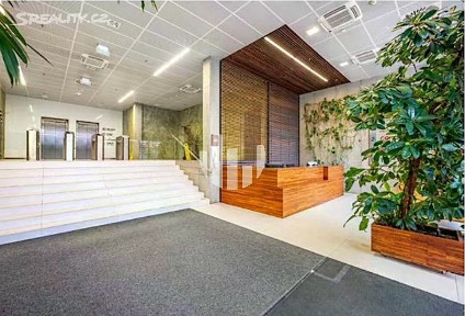 Pronájem kanceláře 1012 m²