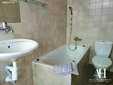 Pronájem bytu 1+kk 23 m²