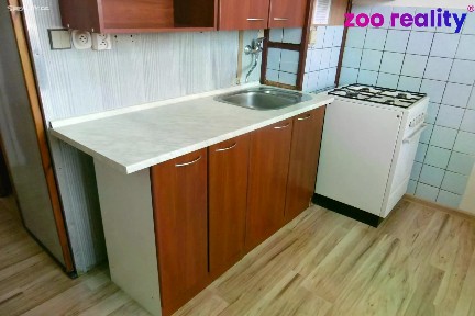 Pronájem bytu 1+1 42 m²