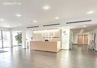Pronájem kanceláře 200 m²