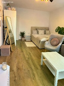 Pronájem bytu 1+1 39 m²